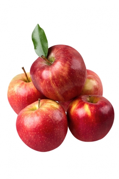 1kg Bio Äpfel
